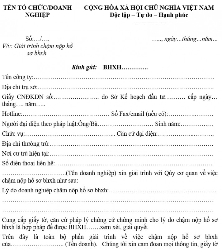 Mẫu giải trình chậm nộp hồ sơ bảo hiểm xã hội