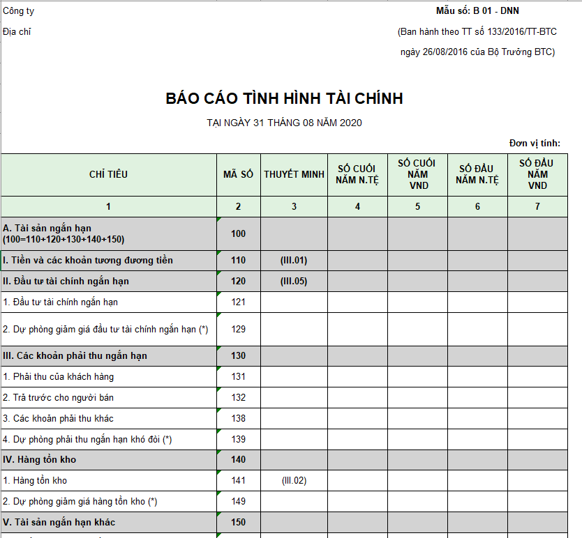 Mẫu báo cáo tình hình tài chính ( Ngoại tệ ) theo TT 133