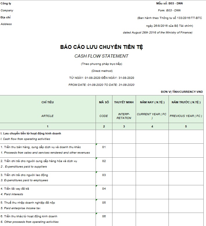 Mẫu báo cáo lưu chuyển tiền tệ ( Song ngữ - Ngoại tệ ) theo PP trực tiếp - Theo TT 133