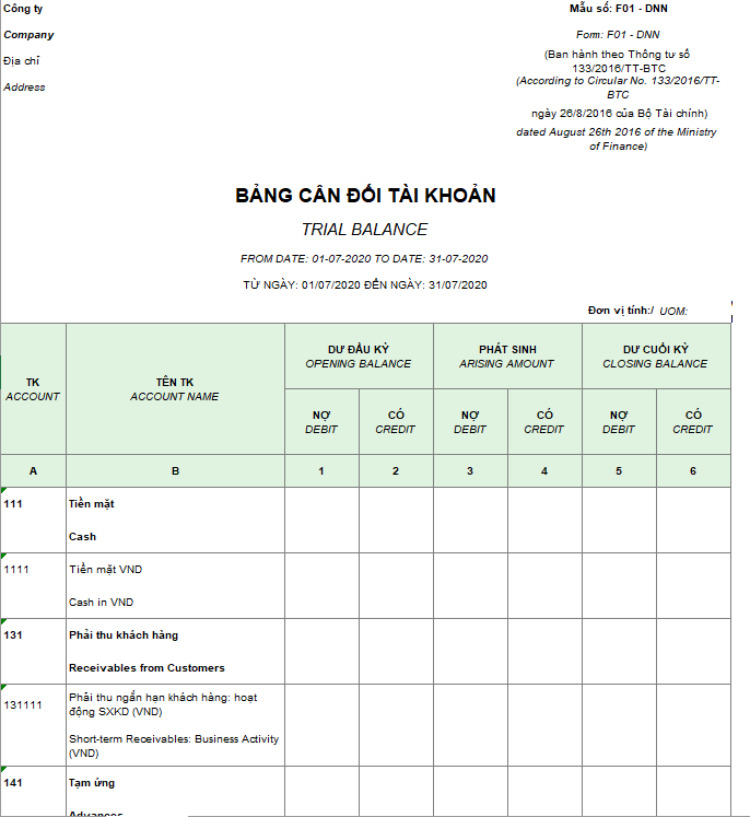 Mẫu bảng cân đối tài khoản theo TT133  ( Song ngữ)