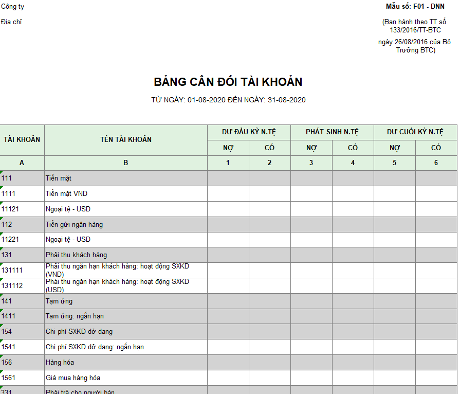 Mẫu bảng cân đối tài khoản theo TT133 ( Ngoại tệ )