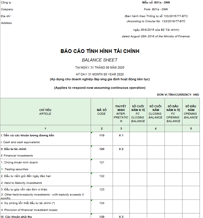 Mẫu báo cáo tình hình tài chính ( Song ngữ - Ngoại tệ ) theo TT 133