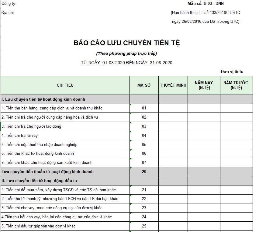 Mẫu báo cáo lưu chuyển tiền tệ ( Ngoại tệ ) theo PP trực tiếp - Theo TT 133
