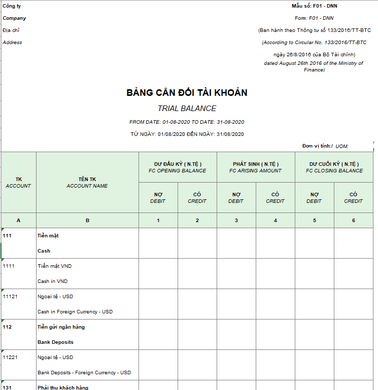 Mẫu bảng cân đối tài khoản theo TT133 ( Song ngữ - Ngoại tệ )