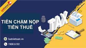 Cách chuyển đổi kỳ khai thuế từ tháng sang quý và ngược lại