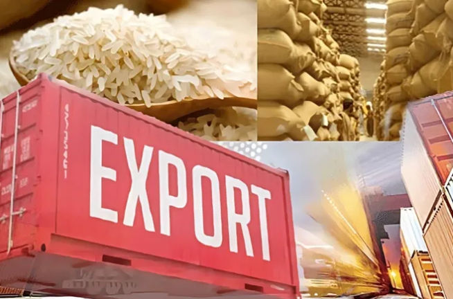 Xuất nhập khẩu tại chỗ là gì? Hướng dẫn thủ tục hải quan