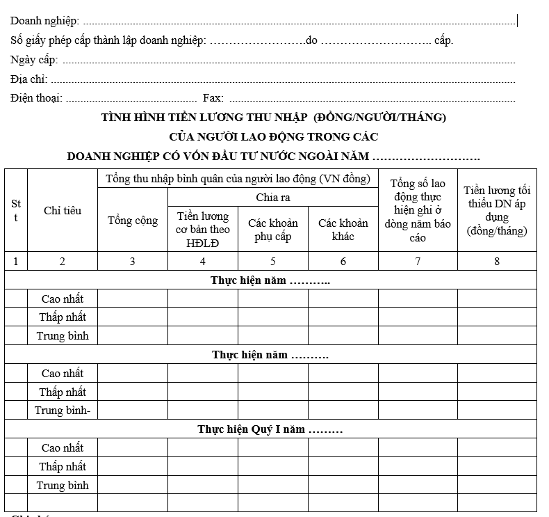 Mẫu báo cáo tình hình tiền lương thu nhập của người lao động