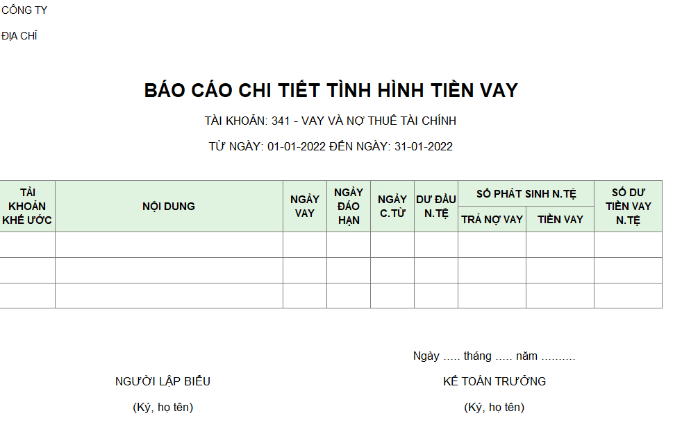 Mẫu báo cáo chi tiết tình hình tiền vay ( Ngoại tệ )